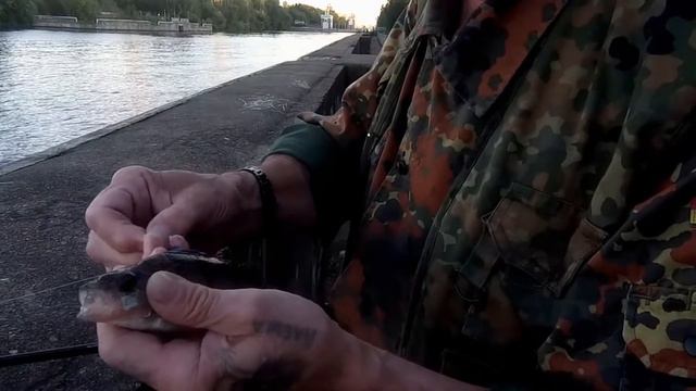 Рыбалка с шлюзовой дамбы. 31.07.2021. смотреть онлайн