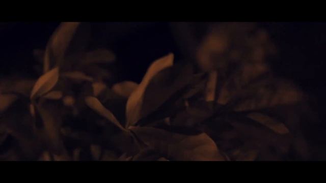 Canon 700D Low Light Test смотреть онлайн