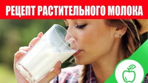 Как Сделать Растительное Молоко из семян и орехов. РЕЦЕПТ