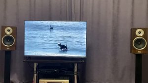 HECO CELAN 300+DENON AVC A11SR