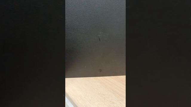 23 января 2024 г. смотреть онлайн