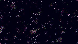 2D Particle Life