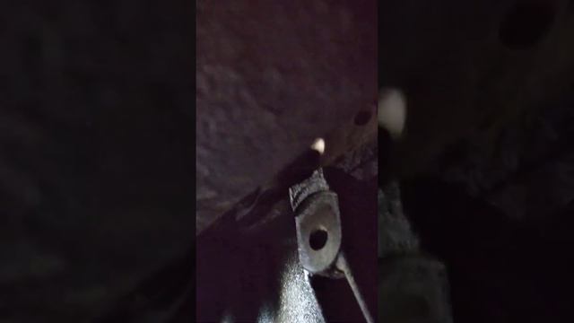 Clio 3 k4m, вот где стоит датчик коленвала смотреть онлайн