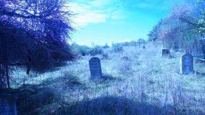 Село Привольное. Азербайджан кладбище экскурсия Джалилобад