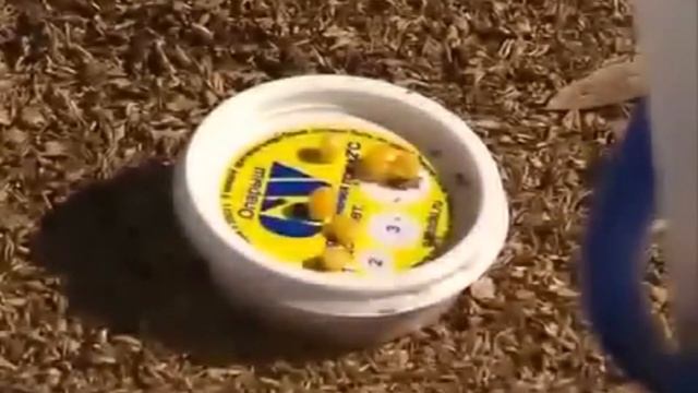 Как поймать больше рыбы.Как ловить больше рыбы.Как ловить рыбу зимой. смотреть онлайн