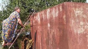 п. Выкопанка Московская область, Луховицы Огурцы 27 августа 2022 г.