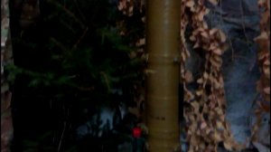 Вертеп, рождество, кукольное представление в церкви