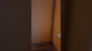 11 ноября 2023 г.