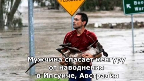 Круговорот добра: Самые добрые поступки людей и спасение животных
