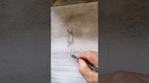 рисую карандашом "Лошадь на реке Ижма"...