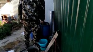 27/10/2021. Замачиваем корни малины перед посадкой.