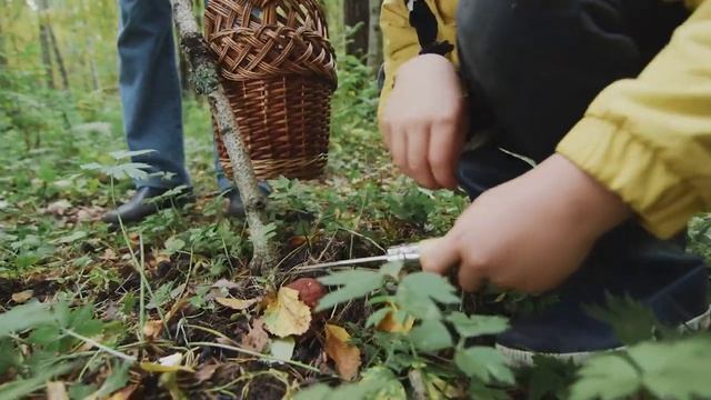 Почему в Рязани часто пропадают люди смотреть онлайн