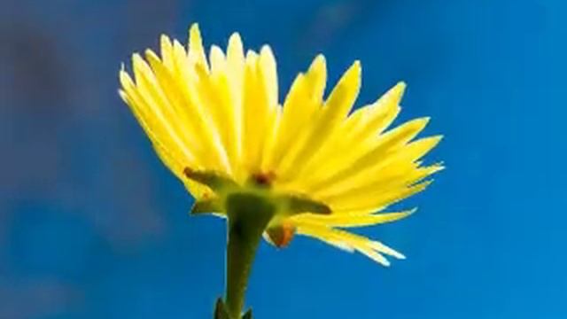 СЕГОДНЯ/ЧИТАЮ СВОИ СТИХИ смотреть онлайн