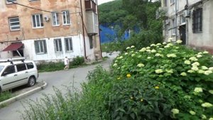 Приморский край, город Находка, июль 2022 г.