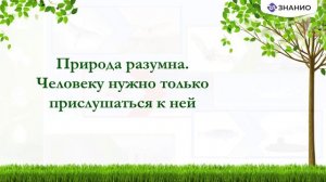 Классный час на тему «Экология и ее законы»
