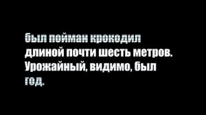 ТОП 10: Самые большие крокодилы в мире [2014]