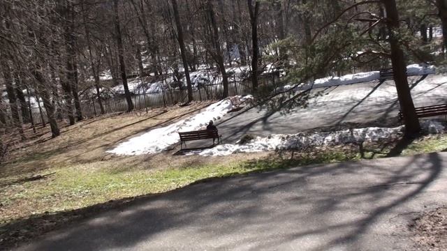 Пейзаж со звуком. Сосна у детской площадки со скамейкой. смотреть онлайн