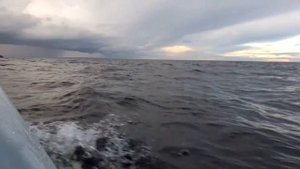 Переход Лосево - Валаам на лодке Пелла-Фиорд + Tohatsu M5B. Вышел в Ладогу.