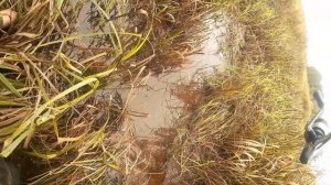 Со спиннингом по Тверце в Сентябре. Часть2