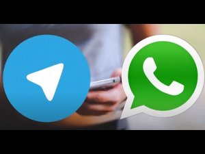 Как просто и быстро перенести стикеры из Telegram в WhatsApp