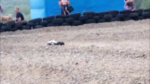 Hsp 1\8 электро. Соревнования радиоуправляемых машин