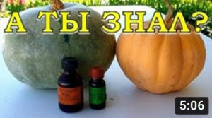 Зеленка и йод - спасение огурцов???