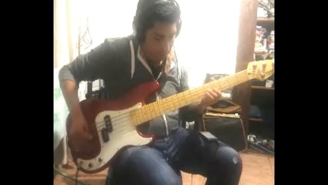 Two Door Cinema Club What you know bass cover смотреть онлайн