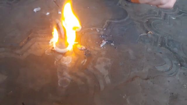 Огняной опыт / извивающиеся змеи смотреть онлайн