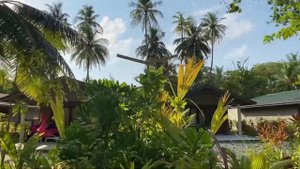 Мальдивы. Отель Meeru island resort & spa. Какую выбрать виллу? Где плавают скаты и акулы?
