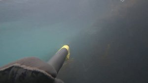 Подводная охота на лосося Сахалин 2021 август