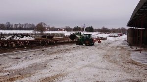 25-1-21. РАЗДАЁМ СЕНО И СЕНАЖ БЫЧКАМ кфх Дик.