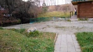 Святой источник "12 ключей", Тульская область