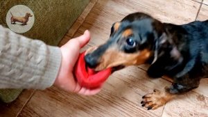 ? ? ? ^ ЧТО ЛУЧШЕ ОДНОЙ ТАКСЫ? ТОЛЬКО ТРИ ТАКСЫ!