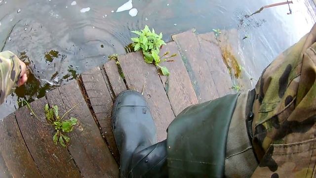 ВЕДРО ПОДЛЕЩИКА ЗА ПОЛ ДНЯ НА ЛЕТНЮЮ УДОЧКУ/РЫБАЛКА НА ВОДОХРАНИЛИЩЕ...