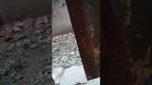 Подключения 3-х фазного электродвигателя на 220 В без мешка конденсаторов.