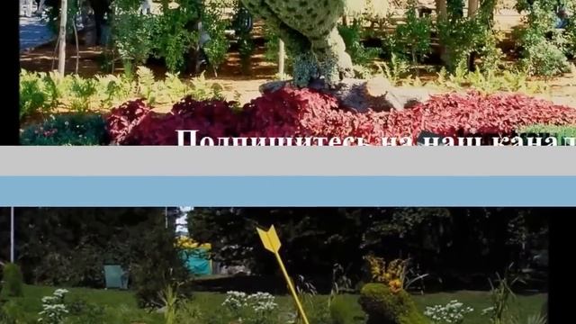 Топиарий своими руками "Живые" клумбы на даче смотреть онлайн