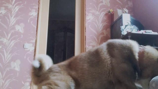 Что снимать?на фоне команд₽ смотреть онлайн