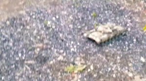 т-90 на радиоуправлении за 20 000 рублей.