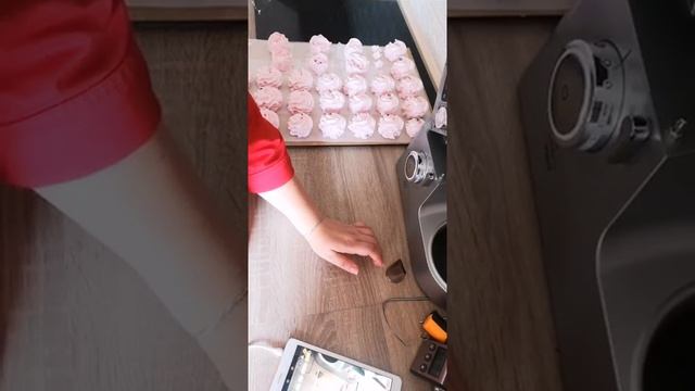 МК "Зефир "Малина-мартини", зефирная роза, зефир без уваривания. Часть 2. Инна Тарасюк смотреть онлайн