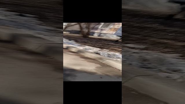 черная кошка! смотреть онлайн