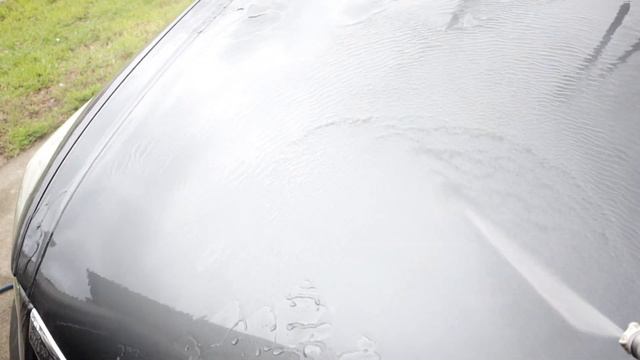 BOLA SOLUTIONS P17 3 MONTH UPDATE || SOMETHING DOESN'T SEEM RIGHT!!! GONE ALREADY???? IT CAN'T BE!! смотреть онлайн