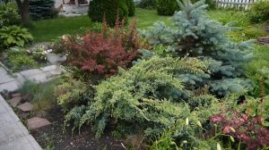 Дача моей мечты 2017