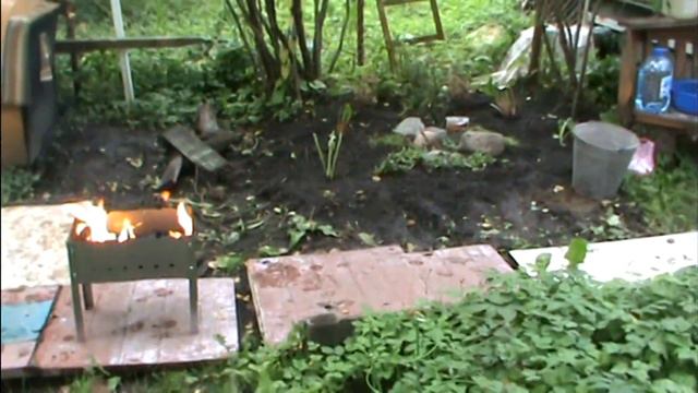 Шашлык из говяжьей печёнки и сосиски на мангале - барбекю на даче Галины Карпюк - 14.09.2012 год
