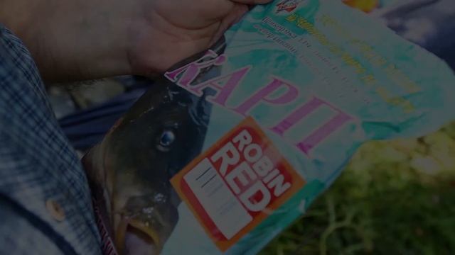 КУБОК ТМ "ТОРОПЫШКА" 15 июля 2017 смотреть онлайн