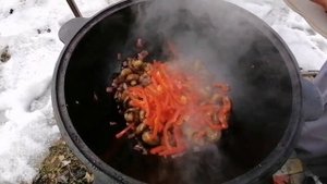 ЖАРЕНЫЕ ГРИБЫ ШАМПИНЬОНЫ В КАЗАНЕ НА КОСТРЕ