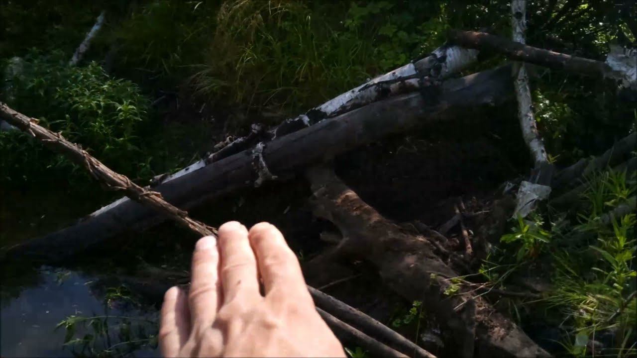 Вести с прииска. News from the mine смотреть онлайн