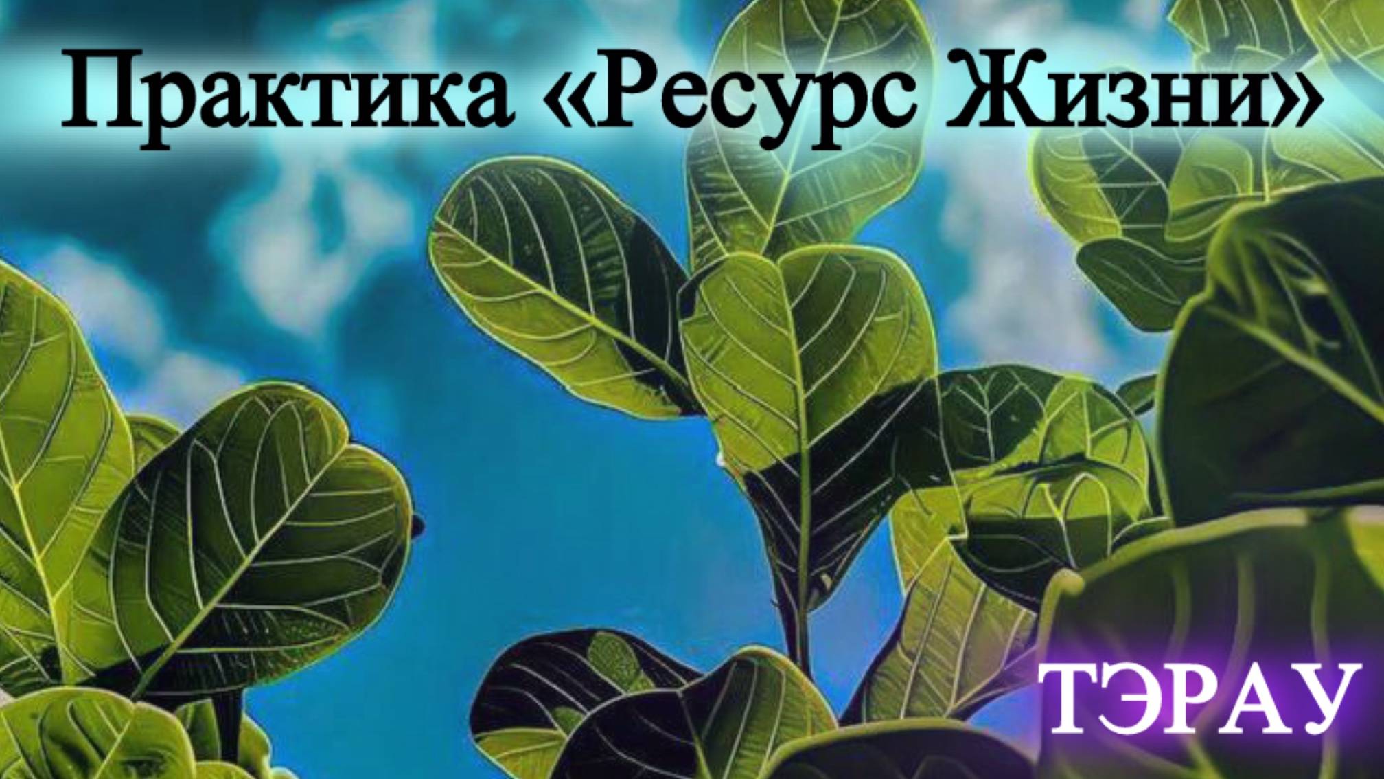 Куратор ТЭРАУ💫
Практика «Ресурс жизни»🌿