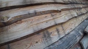 Когда можно использовать опилки с пва для трещин