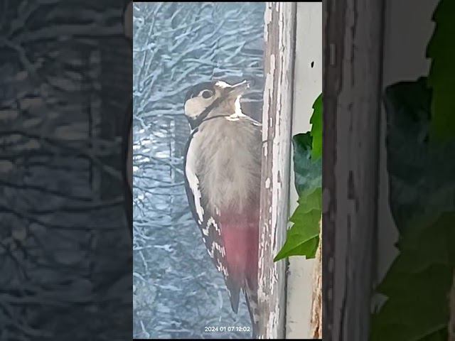 8 января 2024 г. смотреть онлайн