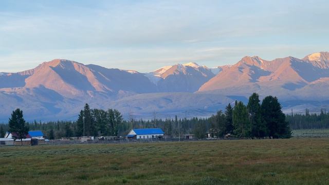 Курайская степь